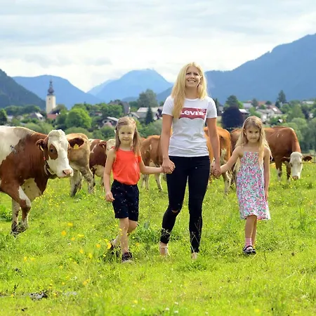 Apartmán Urlaub Im Stall