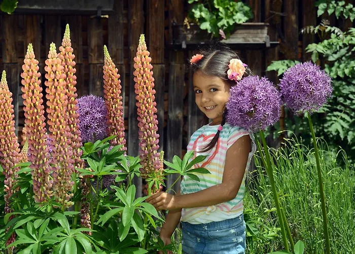 Urlaub Im Stall Appartamento